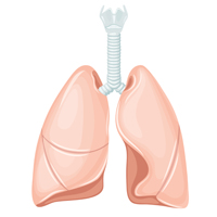 Delaware Mesothelioma Lawyers | Differences Mesothelioma & Lung Cancer